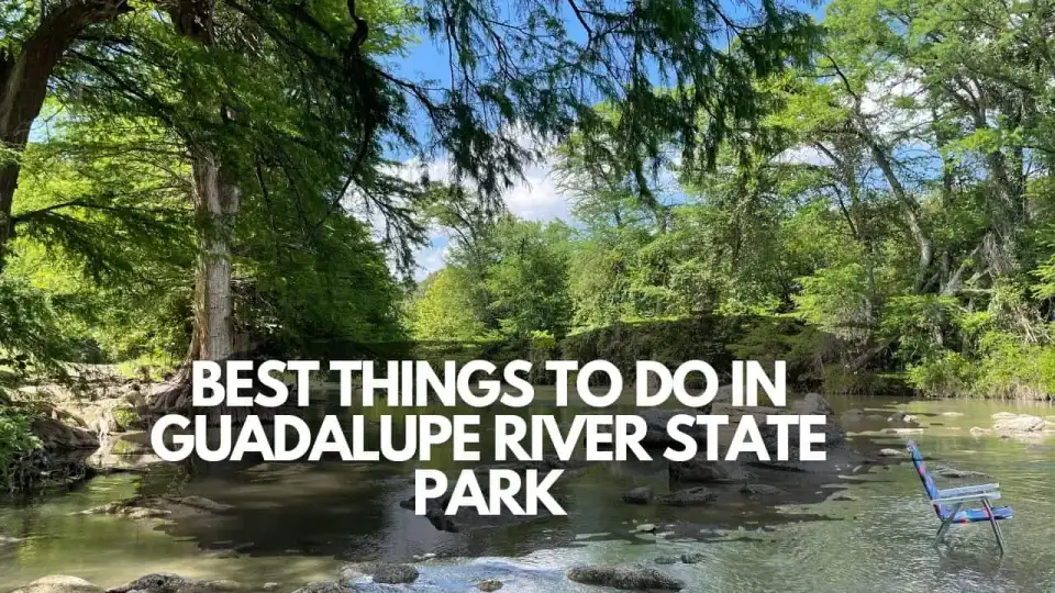 Cypress-lined limestone riverbank and clear green water at Guadalupe River State Park