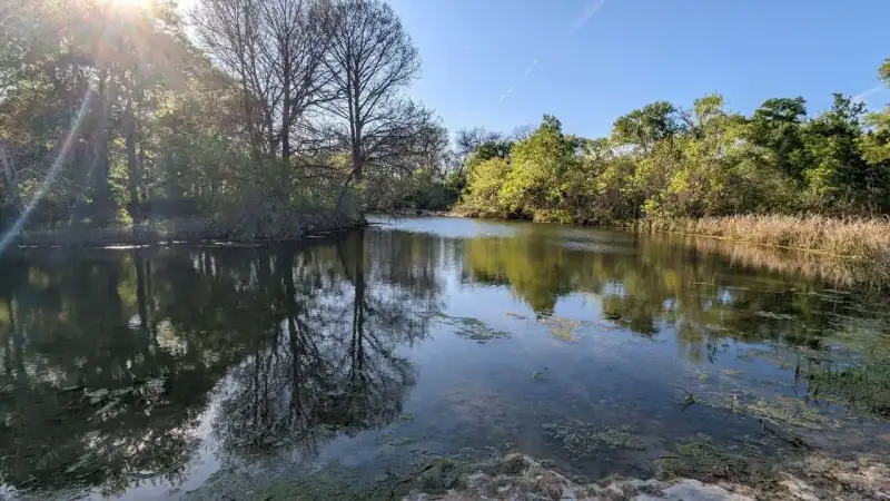 Limestone waterfall cascades spilling into Onion Creek beneath bald cypress trees at McKinney Falls State Park