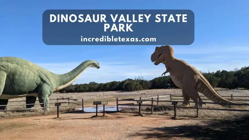 Limestone riverbed of the Paluxy River showing prehistoric dinosaur footprints at Dinosaur Valley State Park