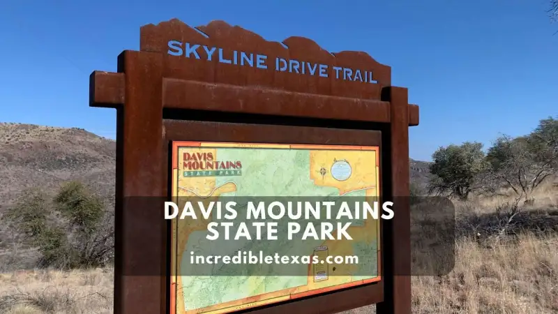 Scenic view of rugged volcanic peaks and pine trees in Davis Mountains State Park