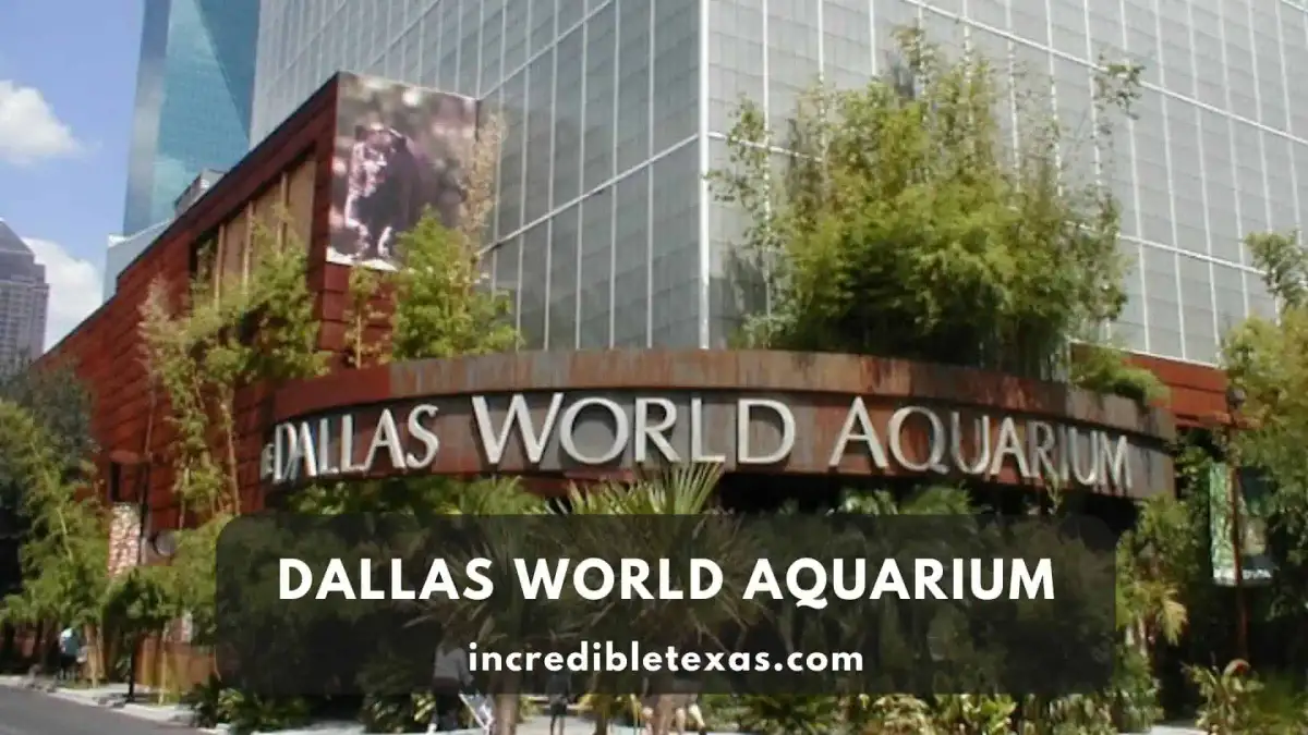 Multi-level indoor rainforest canopy and freshwater animal habitats inside the Dallas World Aquarium