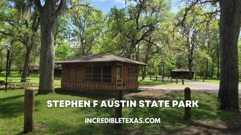 Shaded campsite loop with picnic table and fire ring beneath hardwood canopies at Stephen F. Austin State Park