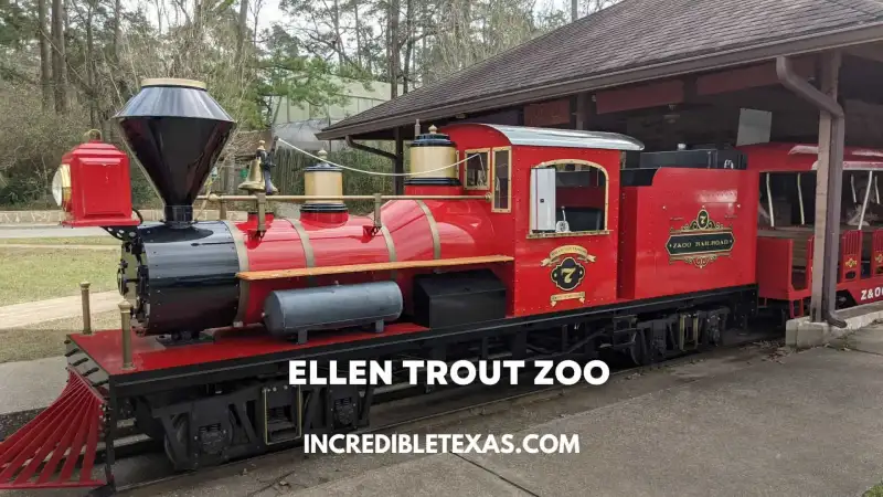 Masai giraffes and walking paths at Ellen Trout Zoo in Lufkin Texas