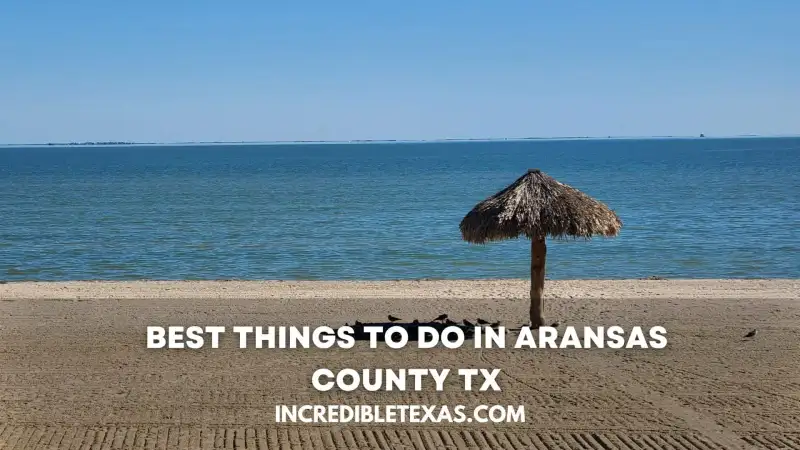 Panoramic view of the coastline and palm trees in Aransas County Texas