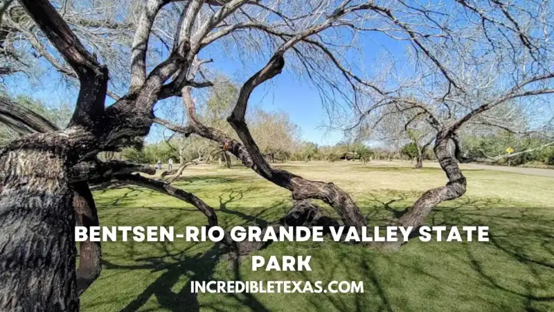 Bentsen-Rio Grande Valley State Park Hawk Observation Tower and canopy trails in Mission Texas