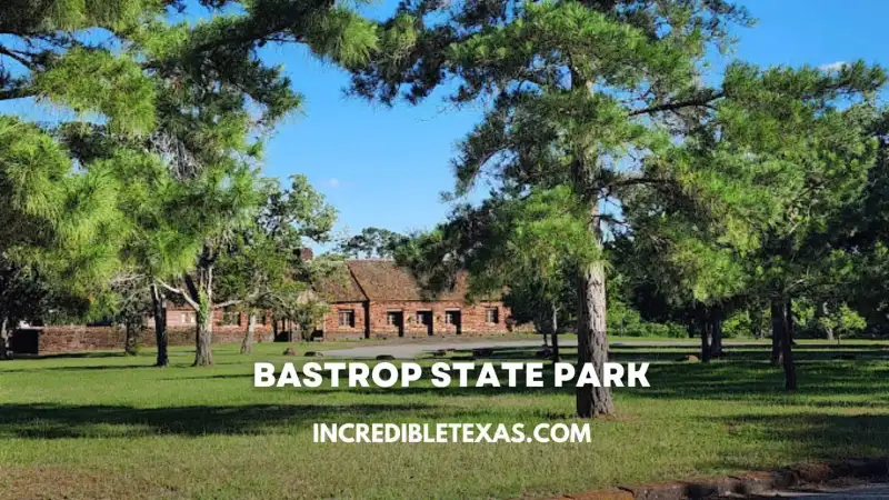 Historic stone cabin and towering loblolly pine trees at Bastrop State Park