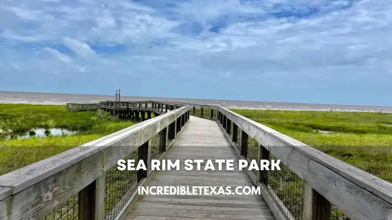 Elevated wooden boardwalk trail over salt marsh wetlands at Sea Rim State Park Texas