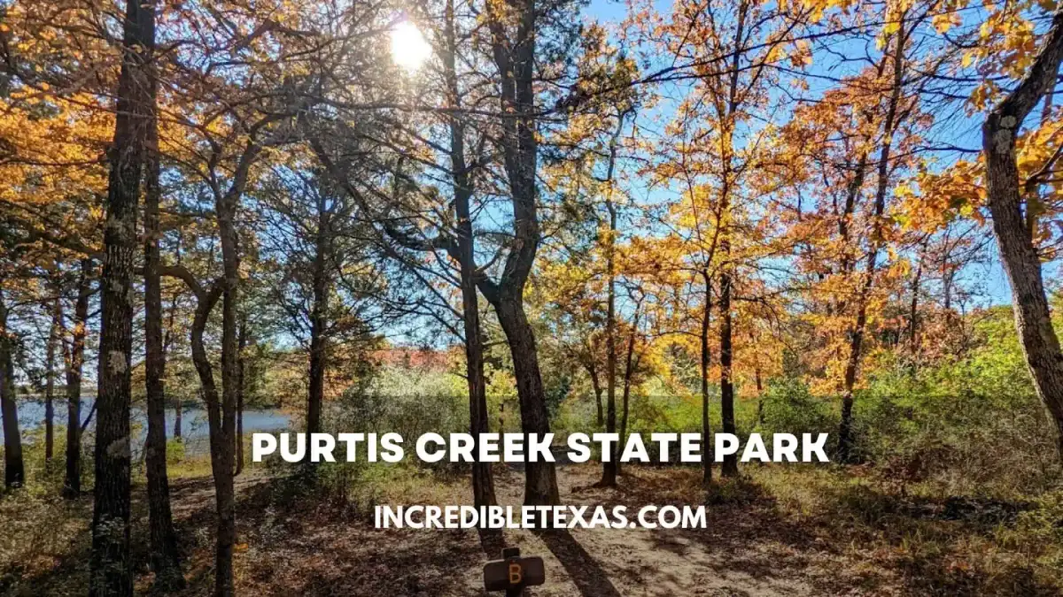 Purtis Creek Lake shoreline with calm waters and forested banks in Eustace Texas