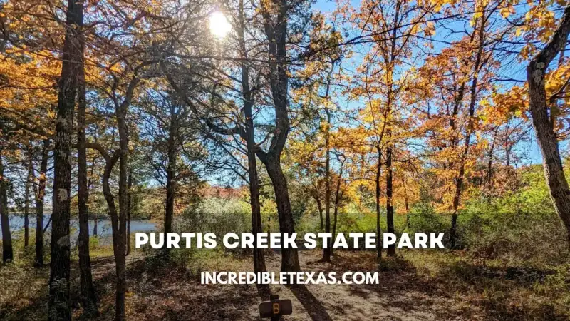 Purtis Creek Lake shoreline with calm waters and forested banks in Eustace Texas