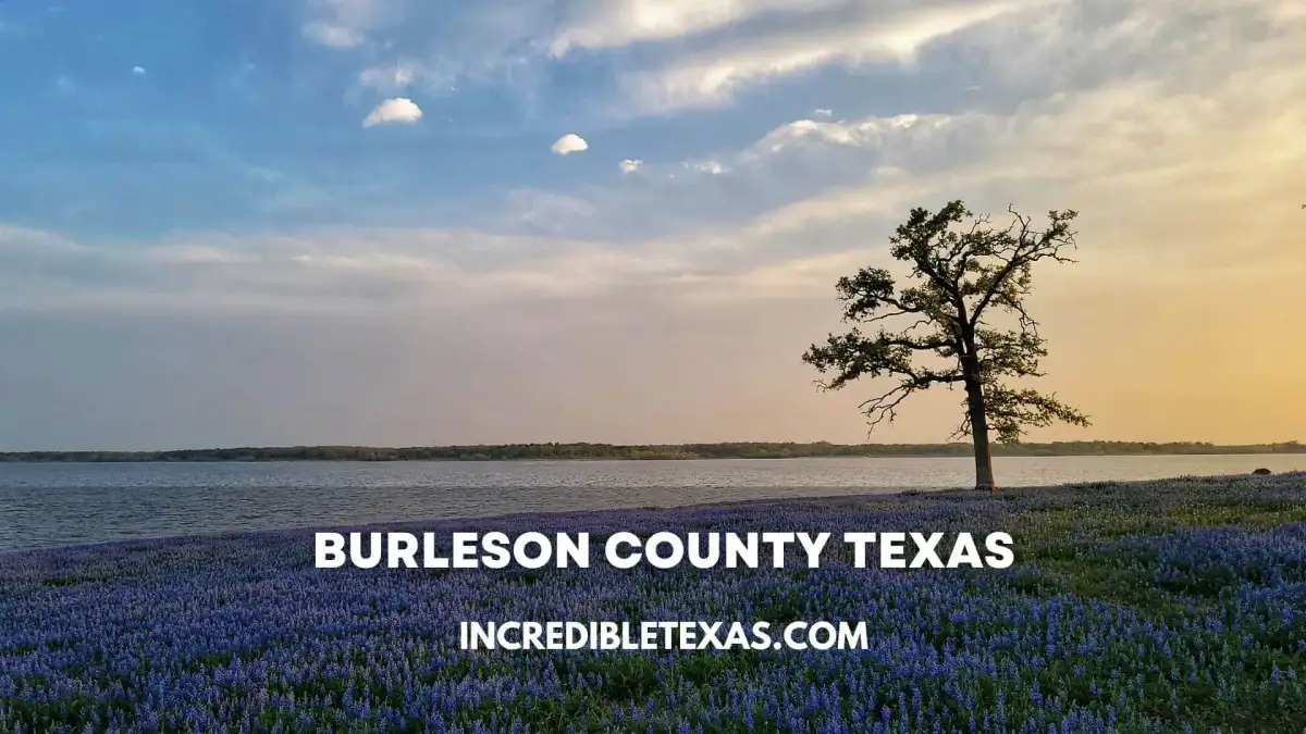 Scenic shoreline view of Lake Somerville with picnic areas and calm water in Burleson County Texas