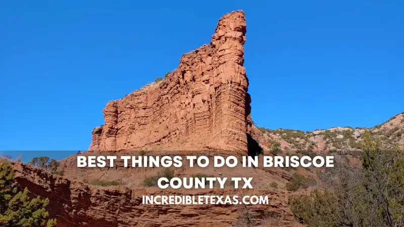 Red sandstone cliffs and bison grazing across the Caprock Canyons prairie in Briscoe County Texas