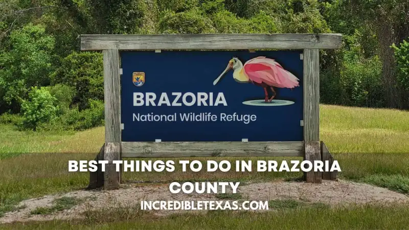 Scenic coastal shoreline and wildlife marshland across Brazoria County, Texas