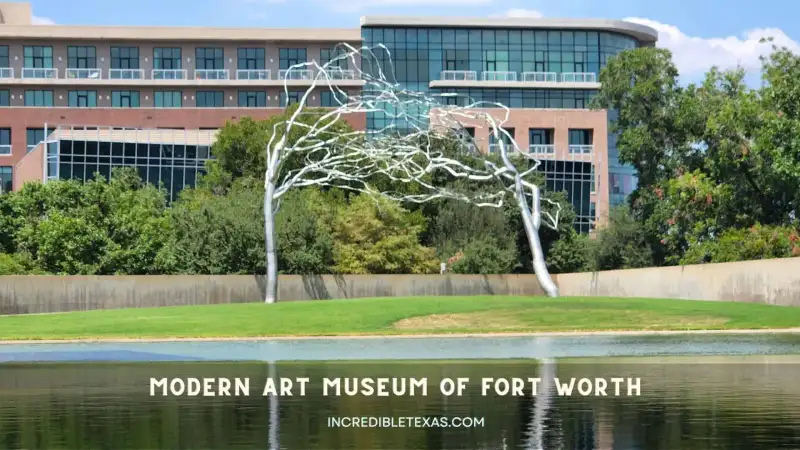 Glass and concrete pavilions of the Modern Art Museum of Fort Worth reflecting across the exterior pond