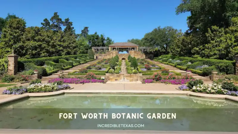 Fort Worth Botanic Garden Japanese Garden bridge with tranquil koi ponds and lush greenery
