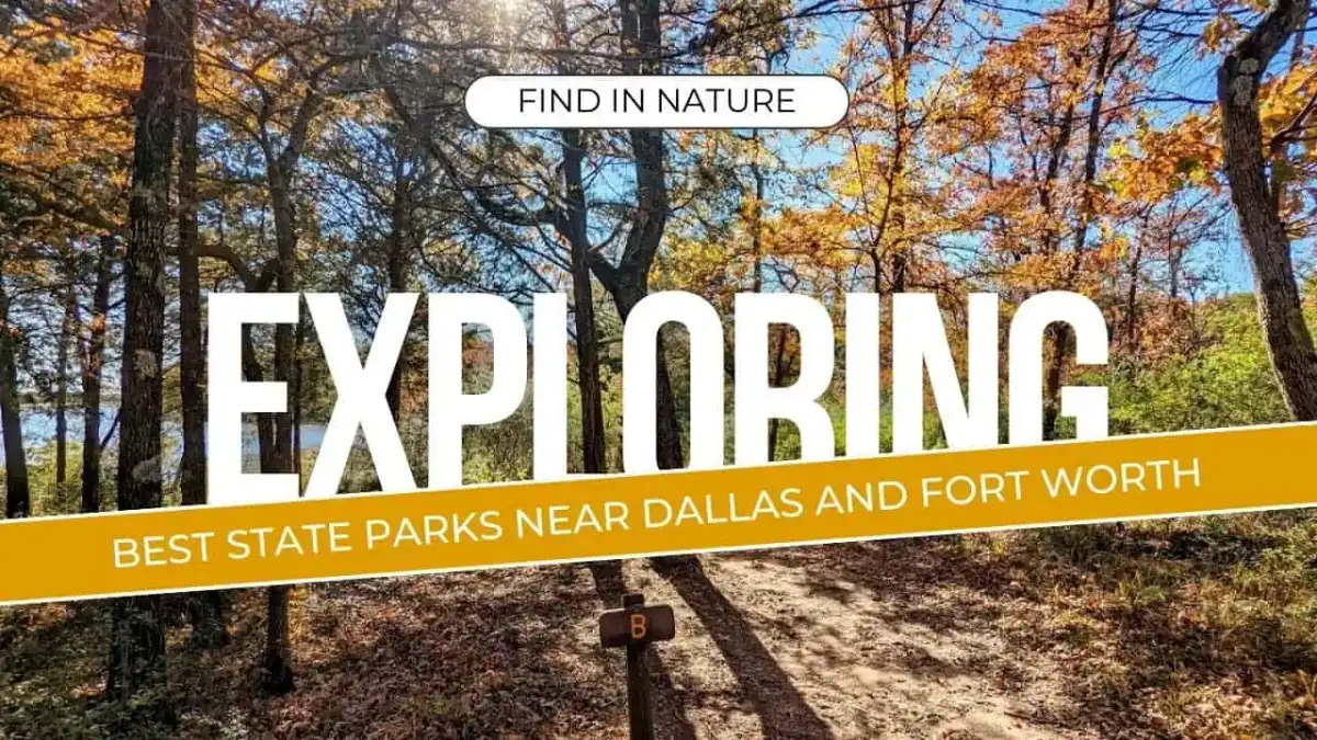 Scenic lake shoreline and wooded hiking trail at a North Texas state park near Dallas Fort Worth