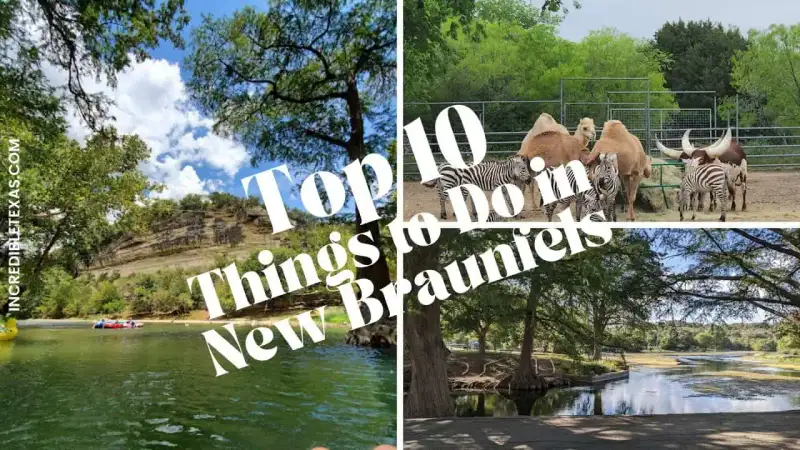 Families walking along shaded limestone riverbanks and spring-fed streams in New Braunfels