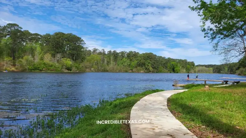Dense pine trees and tranquil shoreline waters at Huntsville State Park in East Texas