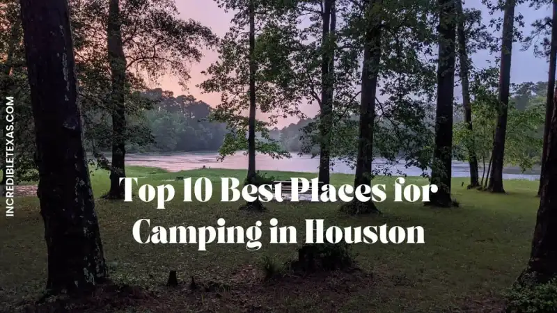 Shaded lakeside campsite with tent and picnic table under pine trees near Houston