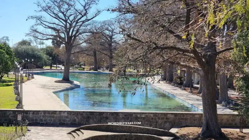 Shaded walking paths and towering cypress trees surrounding the historic spring basin at San Pedro Springs Park