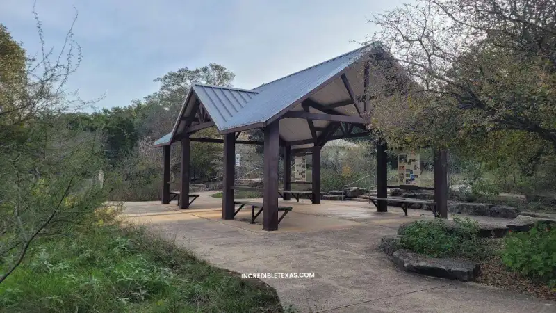 Friedrich Wilderness Park hiking trail winding through native Texas Hill Country cedar and oak trees