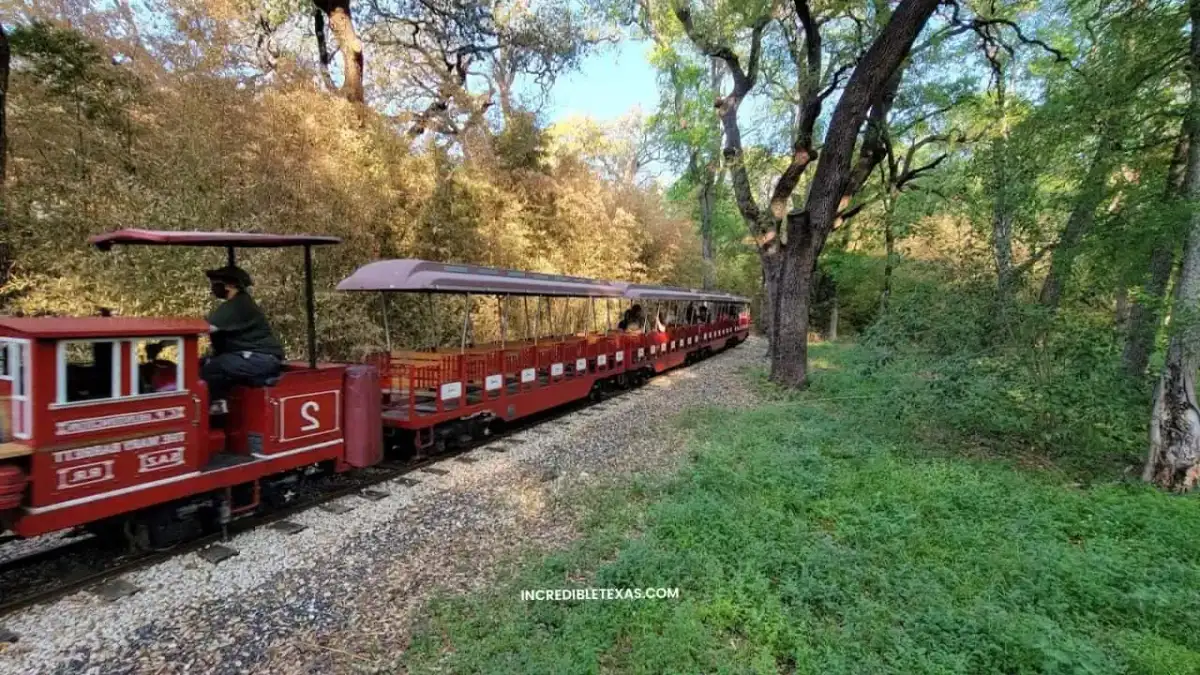 Brackenridge Park walking trails along the San Antonio River under shaded cypress trees