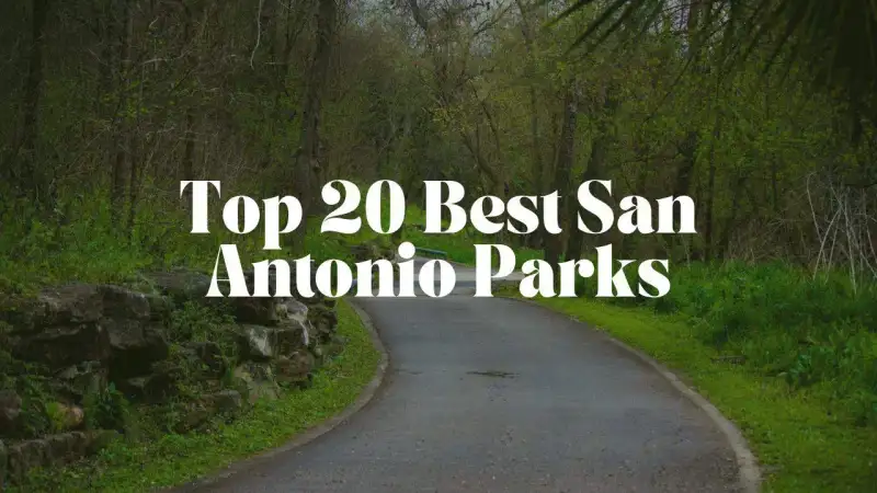 Shaded paved walking path and mature oak trees in a San Antonio municipal park