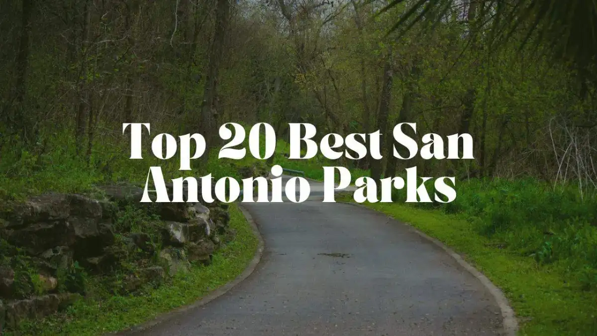 Shaded paved walking path and mature oak trees in a San Antonio municipal park