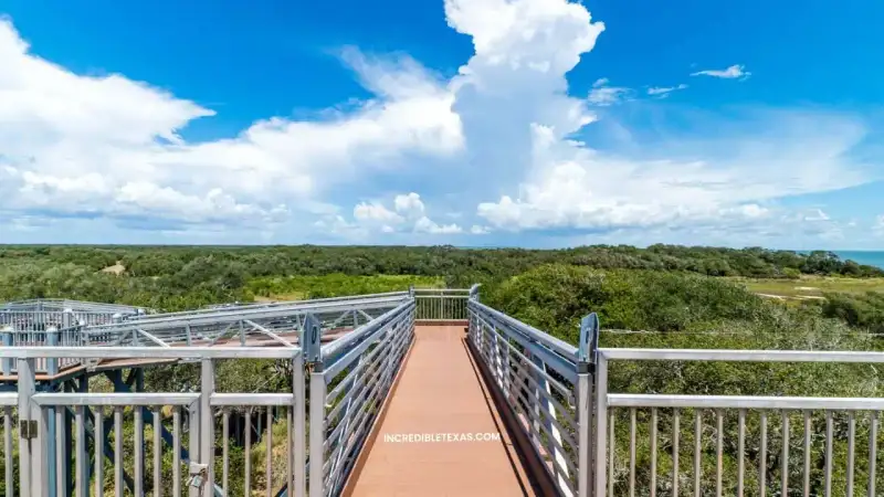 Tidal marsh wetland and elevated observation platform at Aransas National Wildlife Refuge near Austwell Texas