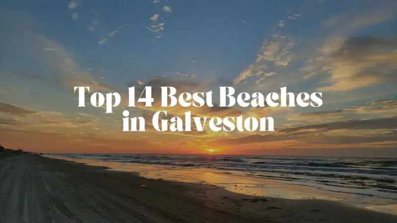 Aerial panoramic view of sunny sandy Gulf beaches and coastal waves along Galveston Island Texas