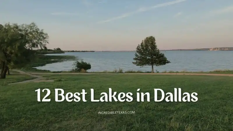 Panoramic view of recreational powerboats and calm waters on a Dallas Fort Worth lake