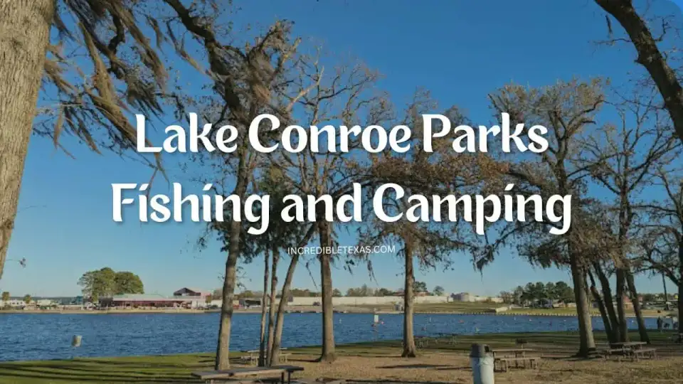 Lakeside camping tents and boat dock on Lake Conroe in Sam Houston National Forest