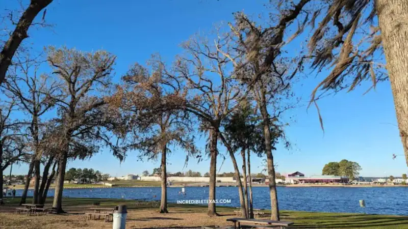 Scenic shoreline waters and pine trees along Lake Conroe in Montgomery County Texas