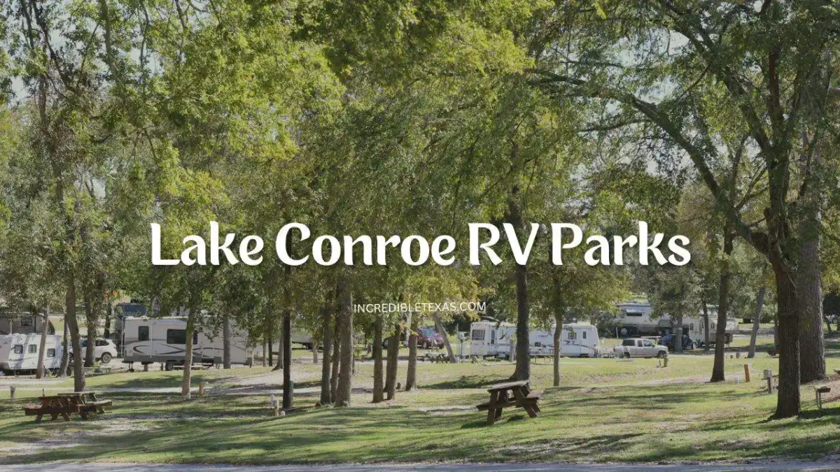 Lake Conroe RV campsite setup with waterfront motorhome pad and wooden boat dock