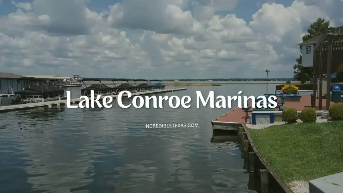 Covered floating boat slips and modern docks moored on the shoreline of Lake Conroe Texas