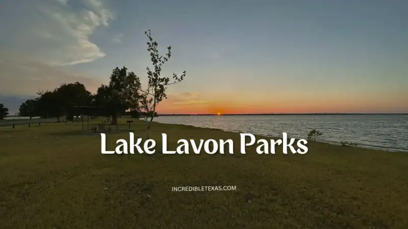 Aerial view of Lake Lavon shoreline parks and recreational boat ramps in Collin County Texas