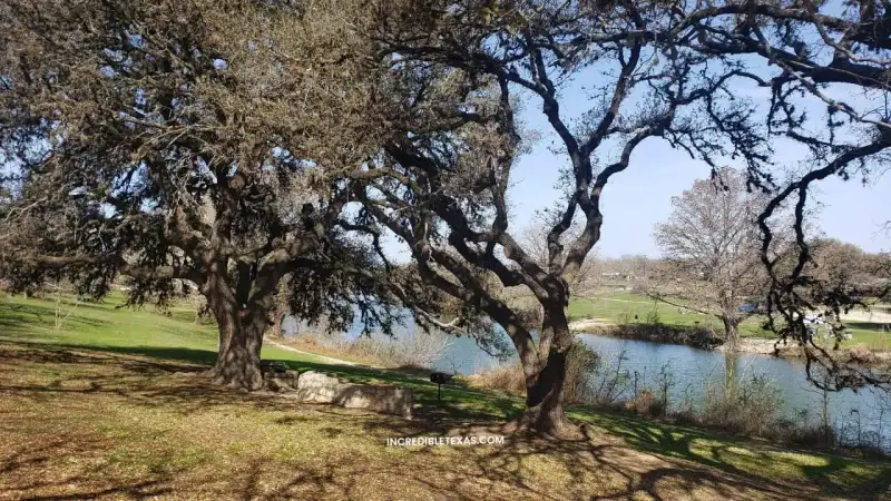 Spring-fed waters flowing over limestone ledges and Falls Dam at Blanco State Park