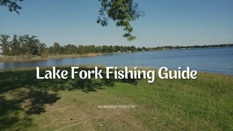 Professional bass fishing boat navigating submerged timber on Lake Fork in East Texas