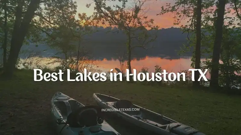 Sunset view across Lake Livingston reservoir with pine trees along the Texas shoreline