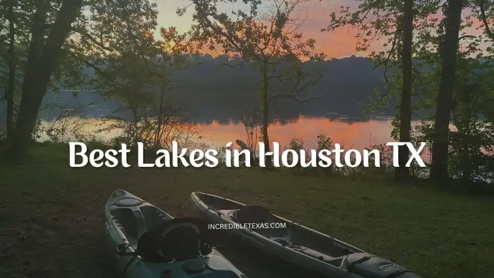 Sunset view across Lake Livingston reservoir with pine trees along the Texas shoreline