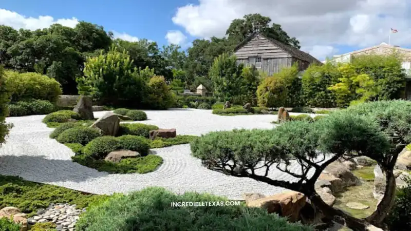 Arched wooden bridge, stone lanterns, and serene koi pond surrounded by pine trees in the Japanese Garden at Hermann Park