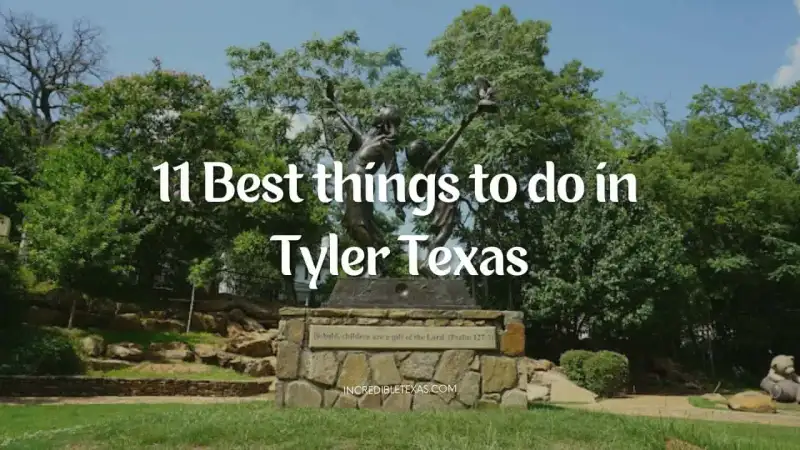 Blooming rose bushes and paved walking trails in the Tyler Municipal Rose Garden