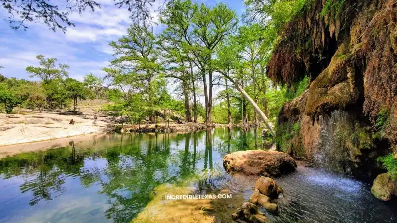 Natural limestone swimming pool and fern-draped waterfall at Krause Springs in Spicewood