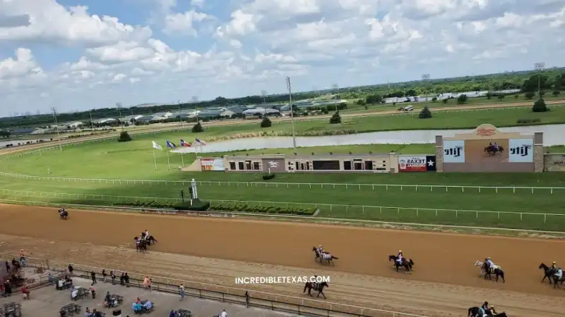 Thoroughbred racehorses rounding the dirt track bend in front of the grandstand at Lone Star Park in Grand Prairie