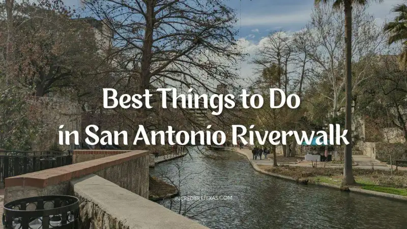 Lush bald cypress trees and stone walkways along the San Antonio River Walk