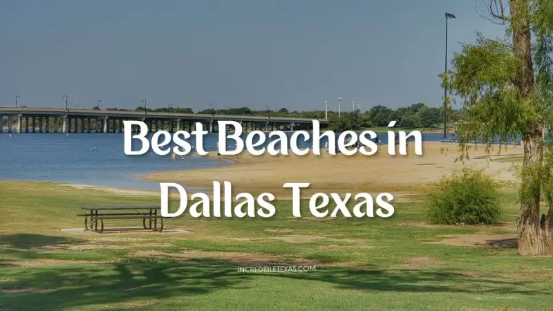 Sandy swimming beach at Little Elm Park on Lake Lewisville Texas