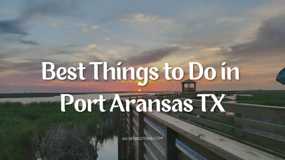 Port Aransas beachfront with coastal dunes, gentle Gulf surf, and sunny skies on Mustang Island