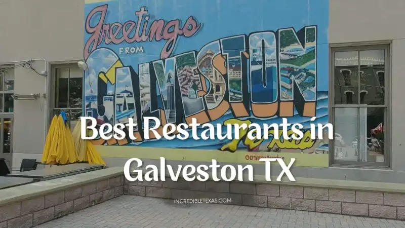 Outdoor beachfront patio dining and fresh Gulf seafood dishes served along Seawall Boulevard in Galveston Texas