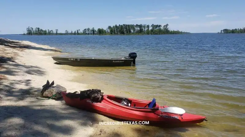 Pine-lined shoreline and open waters of Sam Rayburn Reservoir in East Texas