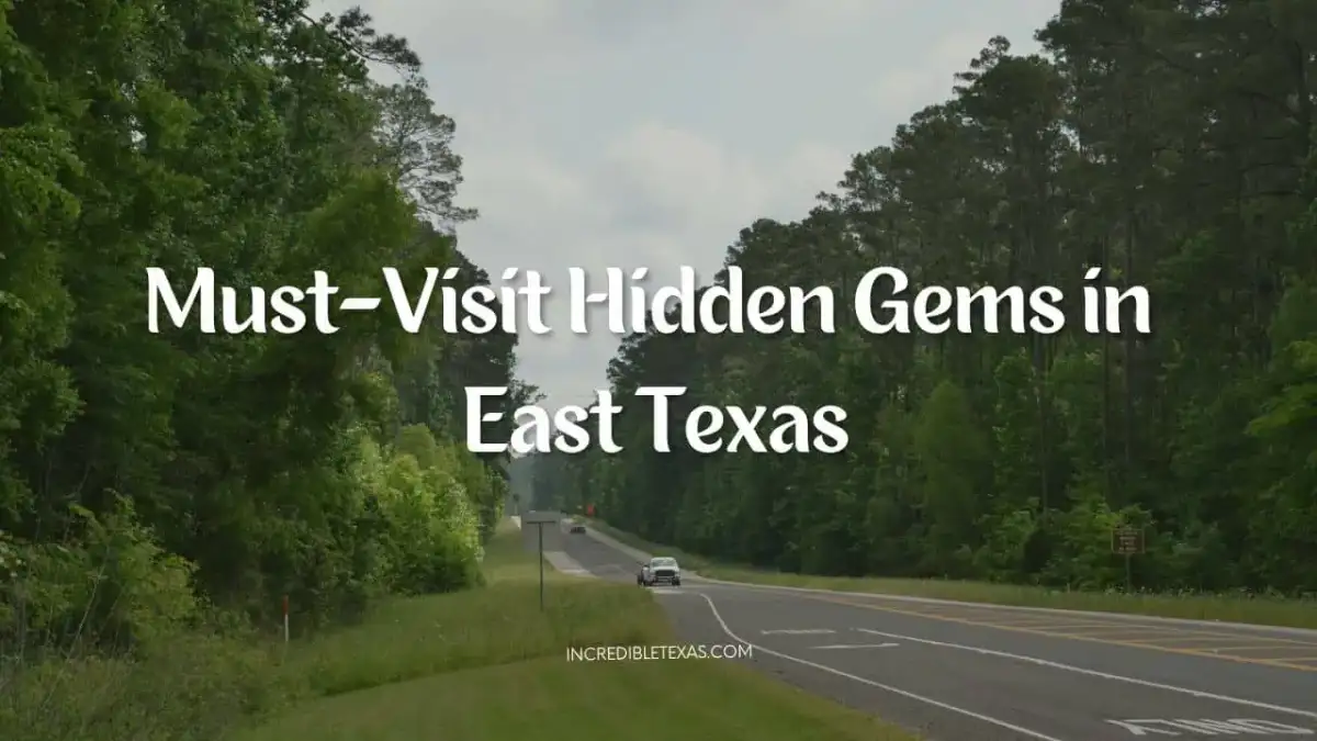 Towering loblolly pines and scenic lake waters in the East Texas Piney Woods