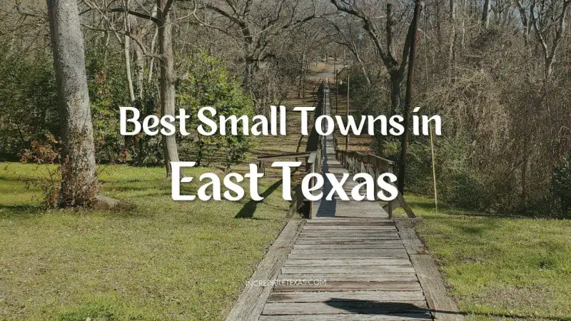 Scenic country road running through pine trees in an East Texas historic town